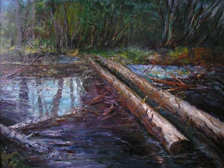 "Дом бобров" х.м. 2010